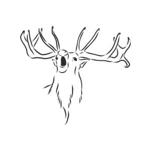 stock-vector-deer-portrait-hand-drawn-vector.jpg