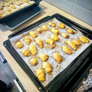 91523f21-69aa-4212-bd23-77f53ab1f8ed.jfif