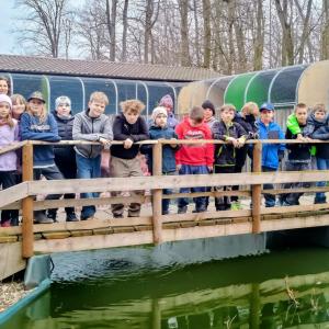 6fda5da4-03e7-4294-a547-f50845369b58.jfif