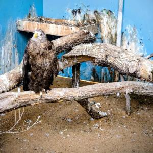 23696a54-b6ac-4187-b57b-865611b7800c.jfif