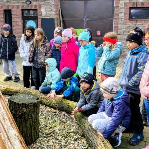 7eac2b47-b5e0-44fa-a731-31290c52f3a5.jfif