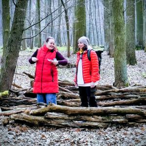 ae954d0c-d23c-45e6-9a24-4855329ed272.jfif