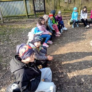 fe262a1d-62fc-4851-8045-2ff46af9813d.jfif