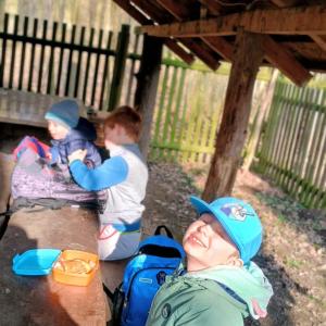 306d530d-b71e-4835-af63-c0b3aa466557.jfif