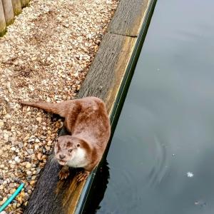 8f4a3ce1-5498-4892-a845-5ac52c389c7d.jfif