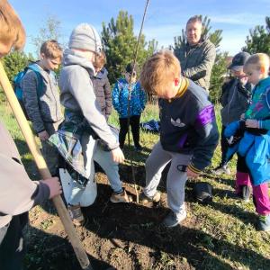 4748715f-e9a4-4803-b043-c439162f4d0d.jfif