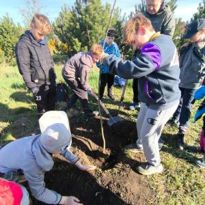 485d8c08-25bf-43fc-8293-3e24a7dbf195.jfif