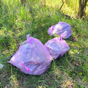 d3538ad6-e309-450c-9ce4-3c779adc6c25.jfif