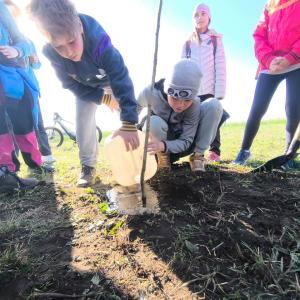 4fb01ff4-9d5e-4b8e-87d4-c0e5803a92a9.jfif