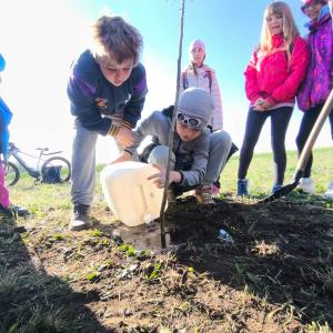 50ba0ee6-4e38-4912-924f-109816bfd7b0.jfif