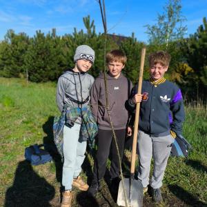 e81263d7-155a-4c85-89b3-d2b4548fc68a.jfif