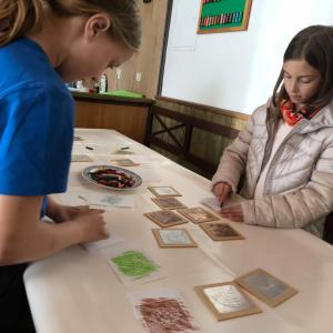 1707c7d7-dda9-44df-ba87-f8d6d1ad4bae.jfif