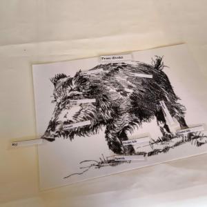 392d3b79-bbb4-4436-b5b2-1ddef2cf9988.jfif