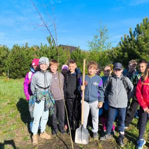 a28f6608-1b5f-47bd-aaf4-a00a446b1da7.jfif